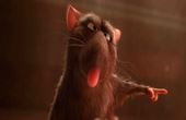 Ratatouille 