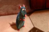 Ratatouille 