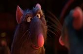 Ratatouille 