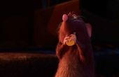 Ratatouille 