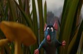 Ratatouille 