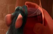 Ratatouille 