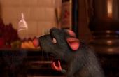 Ratatouille 