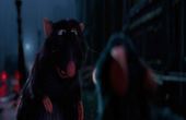 Ratatouille 