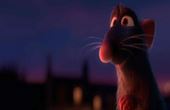 Ratatouille 