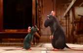 Ratatouille 