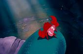 The Little Mermaid 