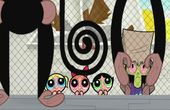 As Powerpuff Girls 