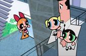 As Powerpuff Girls 