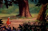 The Fox and the Hound 