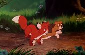 The Fox and the Hound 