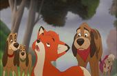 The Fox and the Hound 