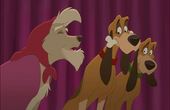 The Fox and the Hound 