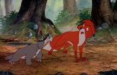 The Fox and the Hound 