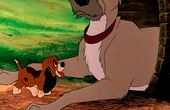 The Fox and the Hound 