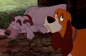 The Fox and the Hound 