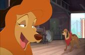 The Fox and the Hound 