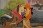 The Fox and the Hound 