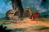 The Fox and the Hound 