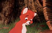 The Fox and the Hound 