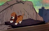 The Fox and the Hound 