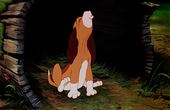 The Fox and the Hound 