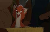 The Fox and the Hound 