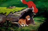 The Fox and the Hound 