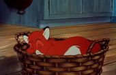 The Fox and the Hound 