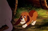 The Fox and the Hound 