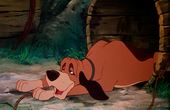 The Fox and the Hound 