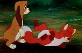 The Fox and the Hound 