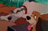 The Fox and the Hound 