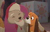 The Fox and the Hound 