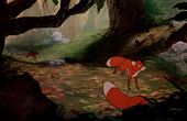 The Fox and the Hound 