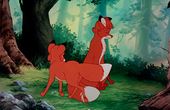 The Fox and the Hound 