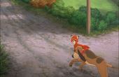 The Fox and the Hound 