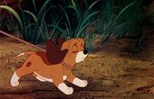 The Fox and the Hound 