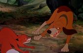 The Fox and the Hound 