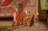 The Fox and the Hound 