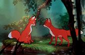 The Fox and the Hound 