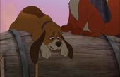 The Fox and the Hound 