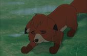 The Fox and the Hound 