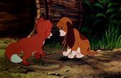 The Fox and the Hound 