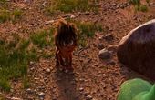 The Good Dinosaur 