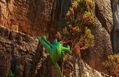 The Good Dinosaur 