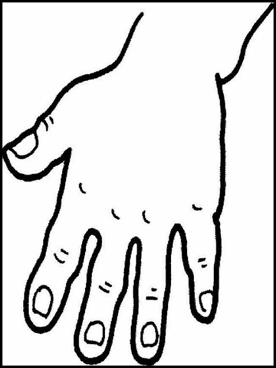 Human body coloring pages 3