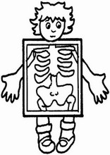 Human body coloring pages14