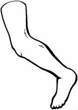 Human body coloring pages15