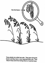 생태12